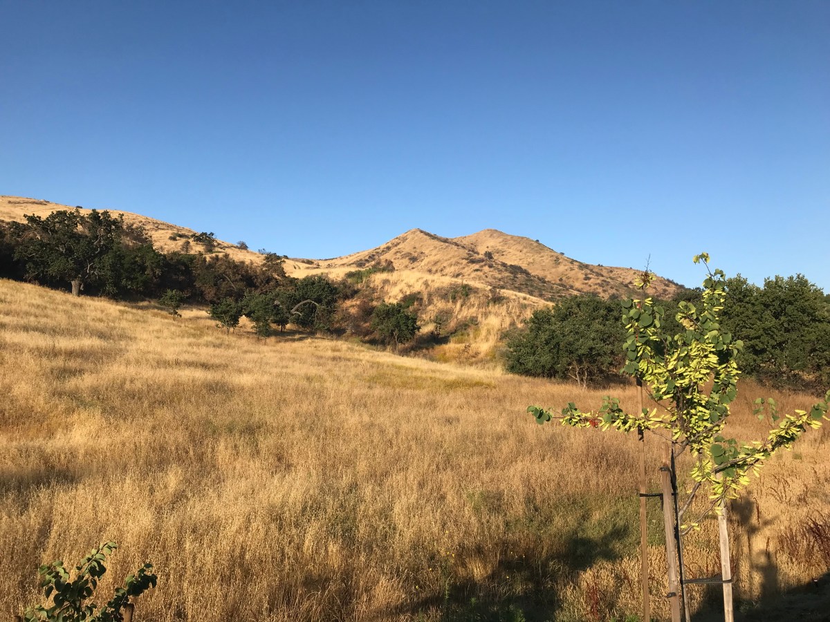 The Last Place I Wanted To&nbsp;Go…