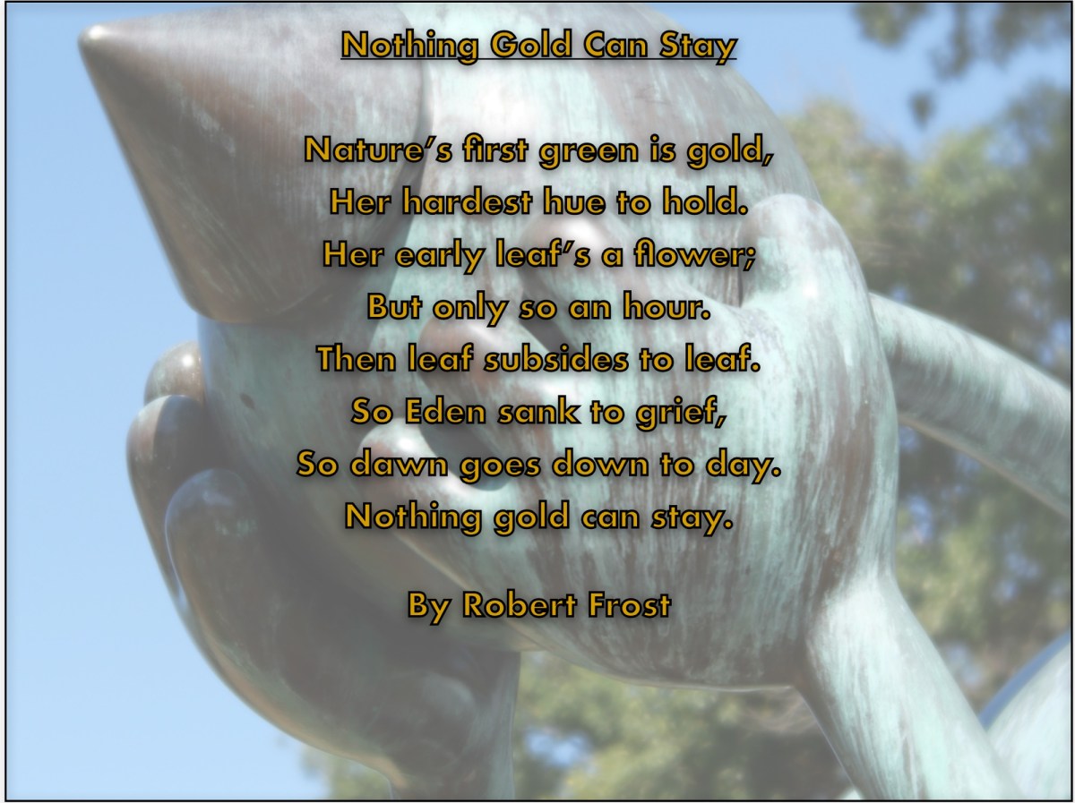 My Year Of Creativity (November&nbsp;2025)